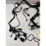2012 + Honda CBR 1000 RR WIRE HARNESS  OEM
